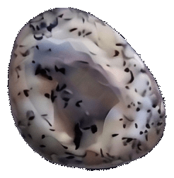 Dendritic Agate